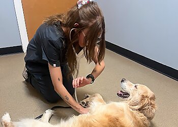 Chesapeake Veterinary Clinics Hickory Veterinary Hospital