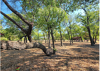 Frisco Public Parks Hidden Cove Park and Marina