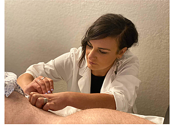 Hidden Summit Acupuncture and East Asian Medicine Boise City Acupuncture image 1