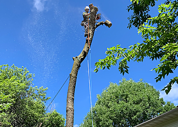 Cedar Rapids Tree Services High Angle Tree Service LLC