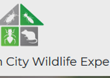 High City Wildlife Experts