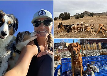 Reno Dog Training High Desert Dog Training