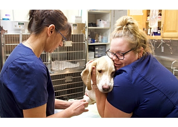 Augusta Veterinary Clinics Highland Animal Hospital