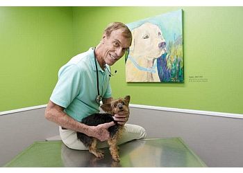 3 Best Veterinary Clinics in Fayetteville, NC - Expert ...