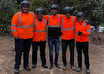 Chula Vista Tree Services Higuera Tree Care