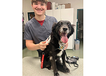 Little Rock Veterinary Clinics Hillcrest Animal Hospital