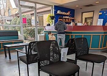 Memphis Veterinary Clinics Hillcrest Animal Hospital