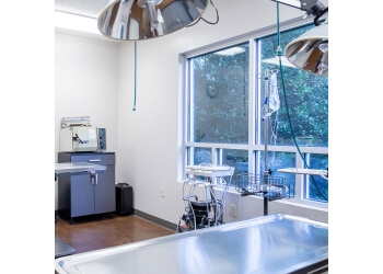 Memphis Veterinary Clinics Hillcrest Animal Hospital