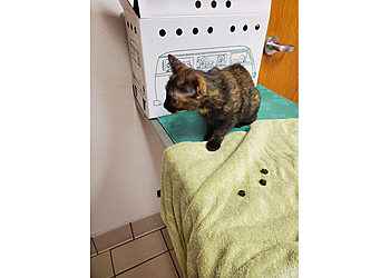 Rockford Veterinary Clinics Hillcrest Animal Hospital