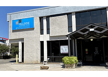 Hillside Veterinary Clinic Dallas Veterinary Clinics