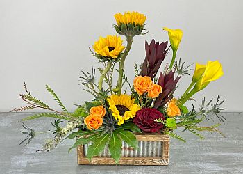 Hilly fields florist 2025 gifts tallahassee fl