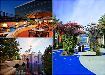 Anaheim Hotels Hilton Anaheim