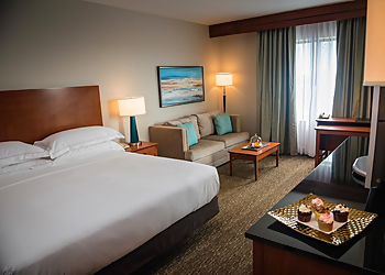 St Petersburg Hotels Hilton St. Petersburg Carillon Park