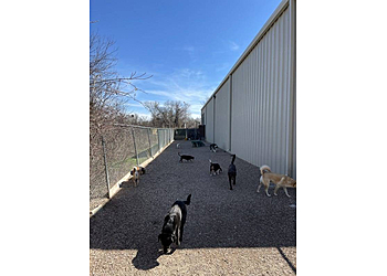Hip Hounds - Round Rock, TX Pet Grooming - Job Site Image