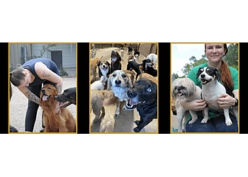 Hip Hounds - Round Rock, TX Pet Grooming - On-Site Service Image