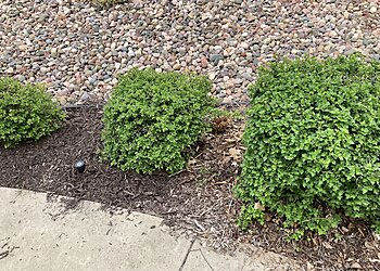 His Workmanship-Milwaukee Milwaukee Landscaping Companies image 1