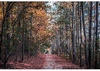 Norfolk Hiking Trails Hoffler Creek Wildlife Preserve