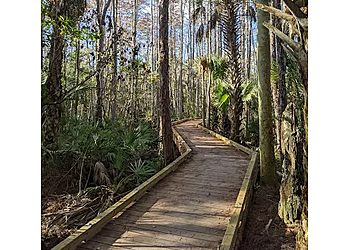 West Palm Beach Hiking Trails Hog Hammock Trail