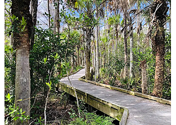 West Palm Beach Hiking Trails Hog Hammock Trail