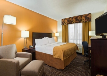 Holiday Inn Knoxville West-Cedar Bluff Rd - Knoxville, TN Hotels - Hotel Room Image