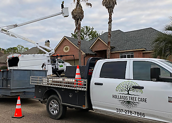 Hollands Tree Care Lafayette Tree Services image 1