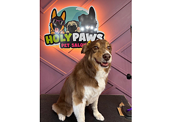 Holy Paws Pet Salon - West Valley City, UT Pet Grooming - Service Image