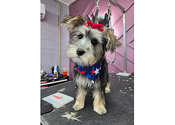 Holy Paws Pet Salon - West Valley City, UT Pet Grooming - Service Highlights