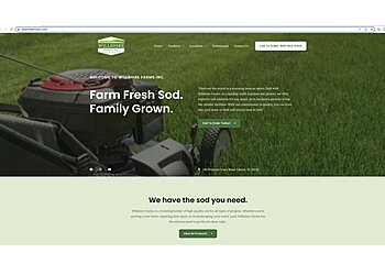 Charleston Web Designers Holy Webs