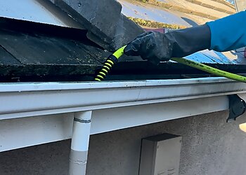 Roseville Gutter Cleaners Home Details