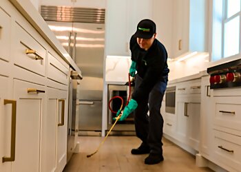 Roseville Pest Control Companies HomeShield Pest Control