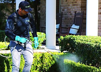 Los Angeles Pest Control Companies HomeShield Pest Control Los Angeles