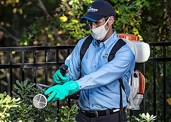 Carrollton Pest Control Companies HomeTeam Pest Defense