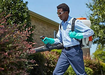 Carrollton Pest Control Companies HomeTeam Pest Defense