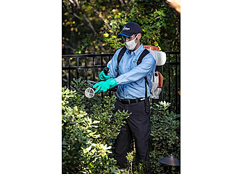 Richardson Pest Control Companies HomeTeam Pest Defense