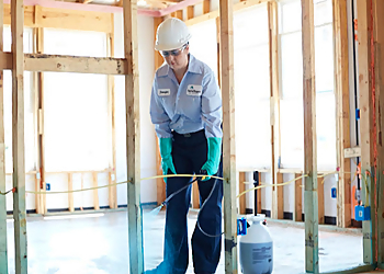 Peoria Pest Control Companies HomeTeam Pest Defense Peoria