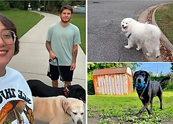 Newport News Dog Walkers Honey B's Pet Sitting and Pet Care Services, LLC