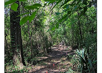 Baton Rouge Hiking Trails Hooper Road Park