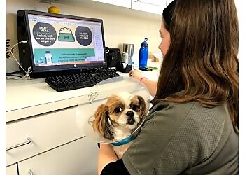 Chesapeake Veterinary Clinics Hope Springs Veterinary Great Bridge