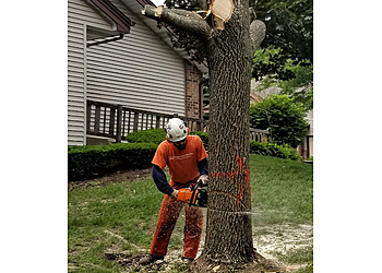 Milwaukee Tree Services Hoppe Tree Service