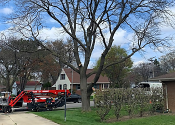 Milwaukee Tree Services Hoppe Tree Service