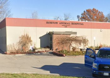 Horton Animal Hospital Northeast