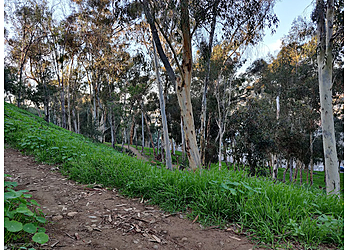 Carlsbad Hiking Trails Hosp Grove Park
