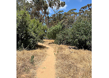 Carlsbad Hiking Trails Hosp Grove Park