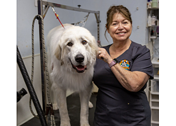 Escondido Pet Grooming Hot Diggity Dog Resort