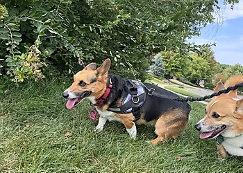 Hotel K Pet Sitting & Dog Walking - Madison, WI Dog Walkers - Workplace Image