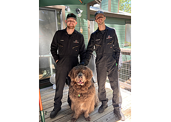Hotshot Chimney Sweep San Bernardino Chimney Sweep image 1