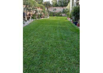 3 Best Lawn Care Services In Los Angeles Ca Expert Recommendations