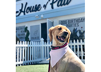 Orange Pet Grooming House of Paw