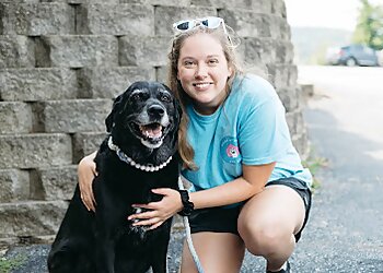 St Louis Dog Walkers House of Paws Pet Care