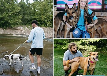 St Louis Dog Walkers House of Paws Pet Care